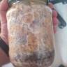 Psilocybe Galindoi именно споровые отпечатки (Есть наличие и в РФ и в Украине)